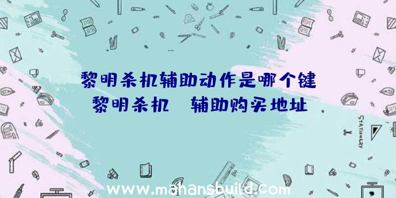 「黎明杀机辅助动作是哪个键」|黎明杀机aa辅助购买地址